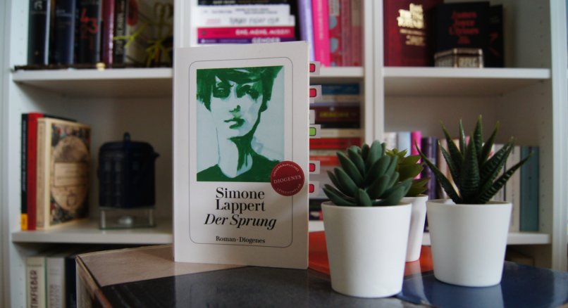 Rezension: Der Sprung von Simone Lappert